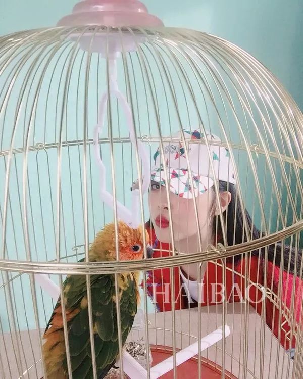 私照朴信惠剪短发太好看iu李知恩是吃可爱长大的吗