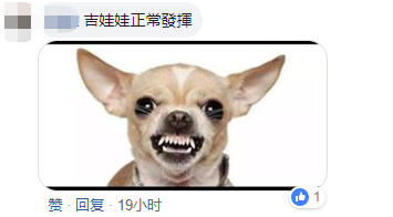 还有网友讽刺道，“吉娃娃正常发挥”。（图源：脸书）