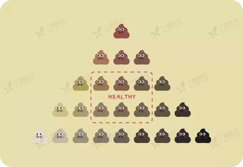 排便次数不正常？健康的便便，不一定是每天 1 次