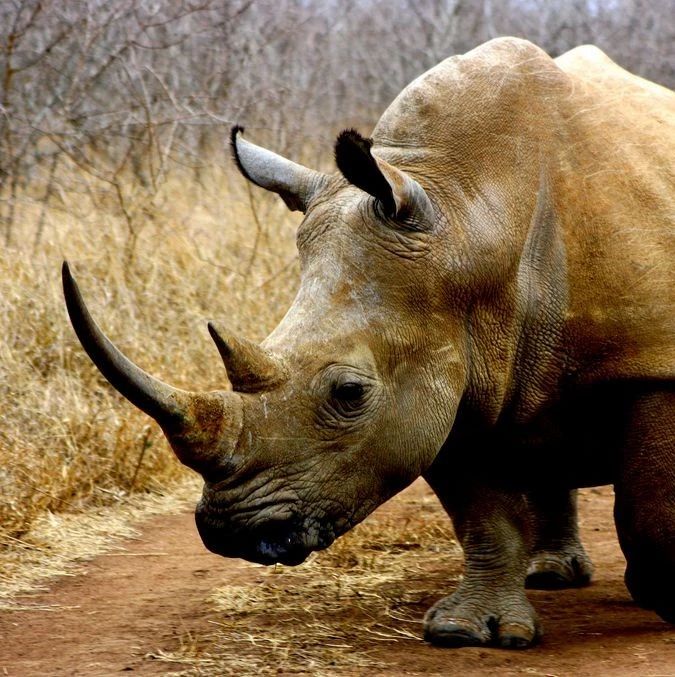 丝绸之路品牌万里行|"一带一路"文化推介会在西班牙马德里举行