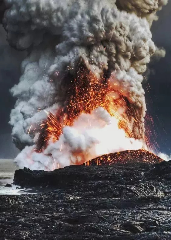 鲨鱼|大自然|火山爆发_新浪新闻