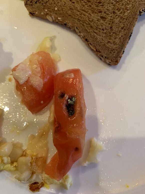 一名游客在2月8日的餐食中发现了霉变的番茄