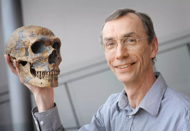 9万年前两种史前人类生下了这个混血女孩