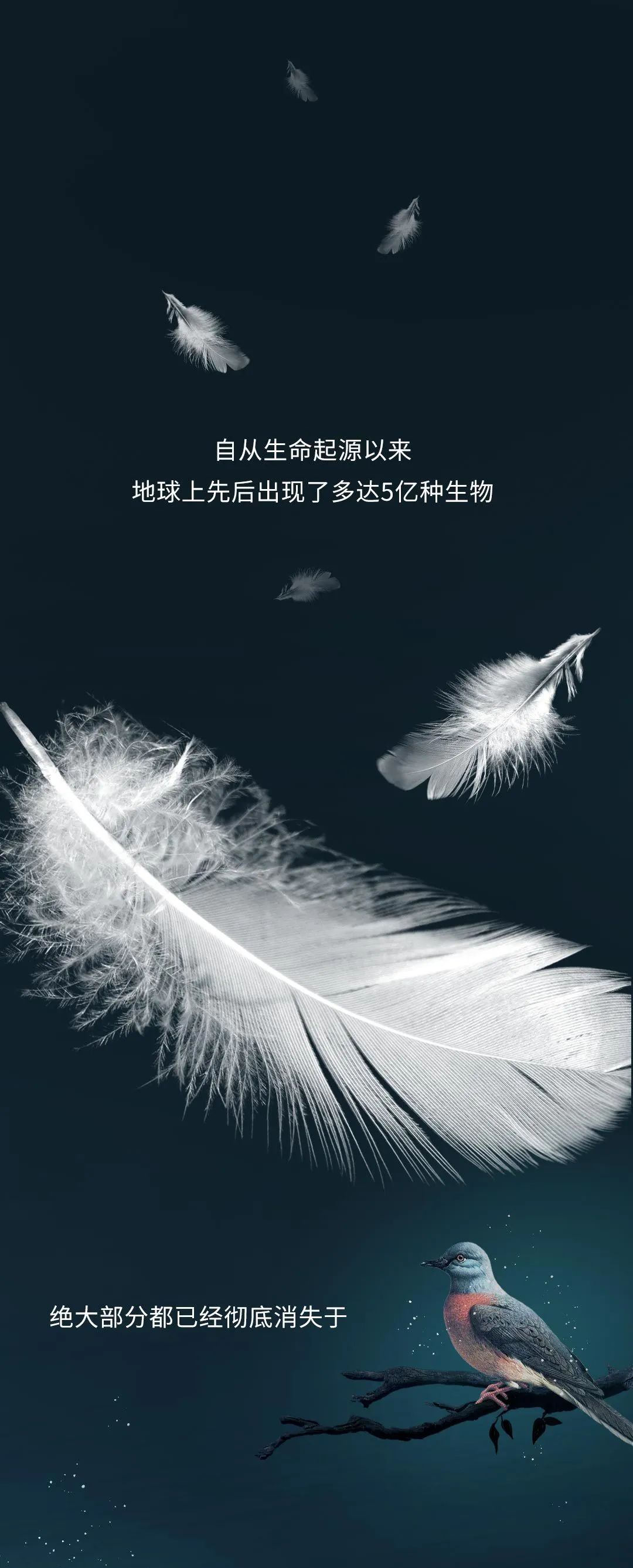 每过一分钟,就有一个物种在地球上彻底消失