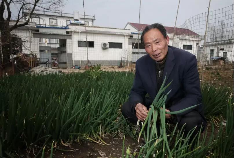 "弄潮"· 小岗"不惑"|小岗|小岗村|严金昌_新浪网