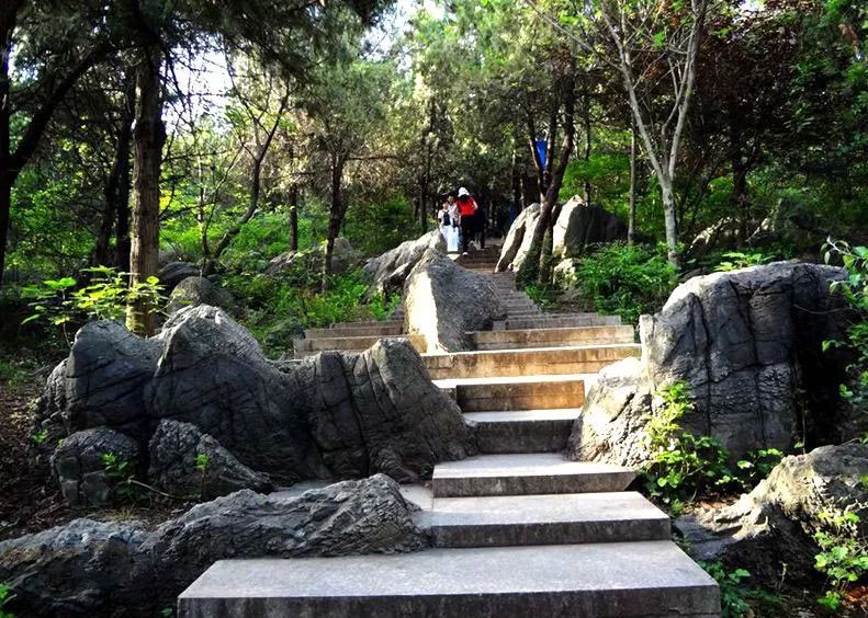 沙岛|萤火虫|茶卡盐湖_新浪新闻