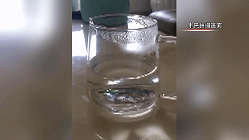 深圳一工地施工导致楼"抖" 居民惊为地震不敢回家