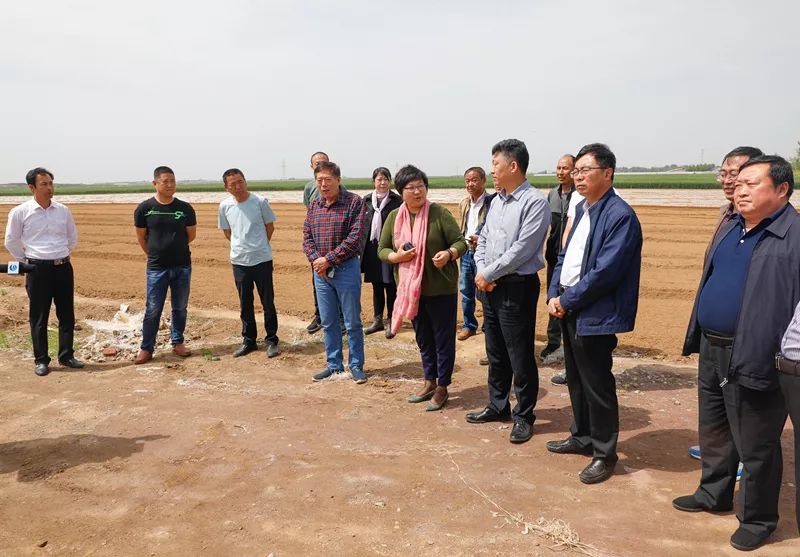 帮第一书记支招郑辉大棚种植蔬菜加工高油酸花生高产增收