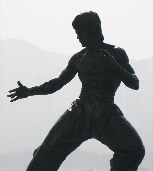 雷雷年轻人接受不了太极拳的缓慢但李小龙的太极拳就非常好