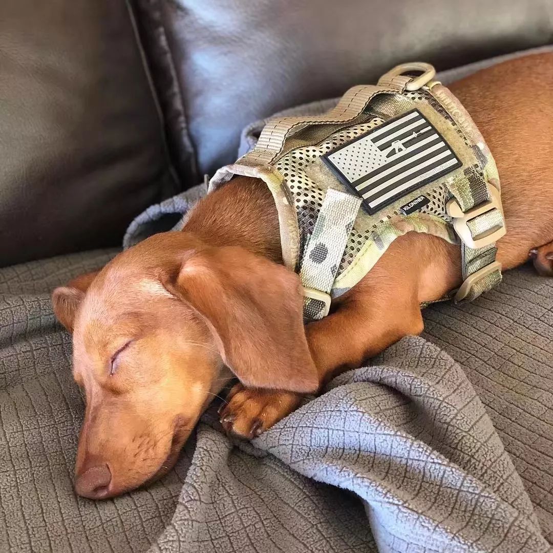 美女枪迷魔改MP5冲锋枪,各种消音器成了她的