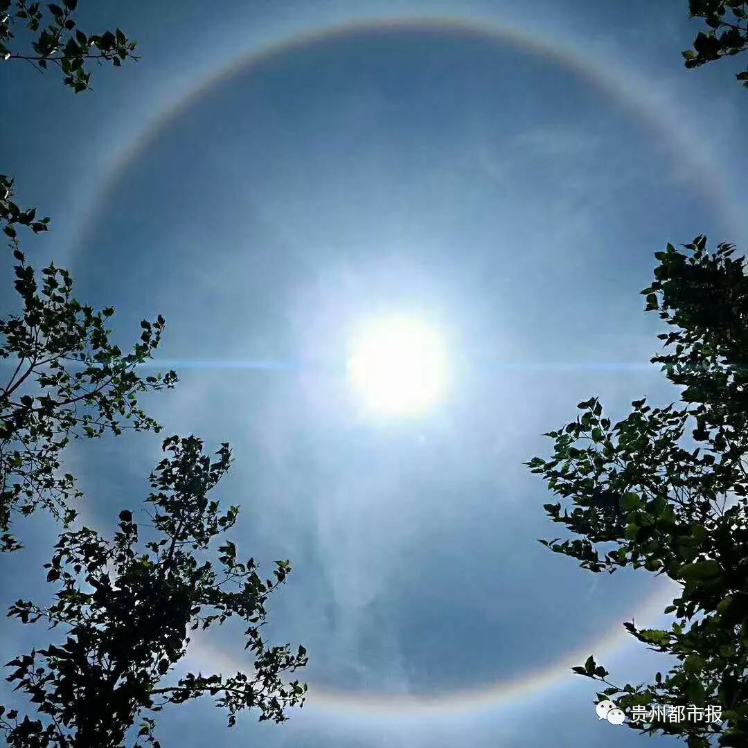 今天贵州人的朋友圈被日晕刷屏速度围观最美图集