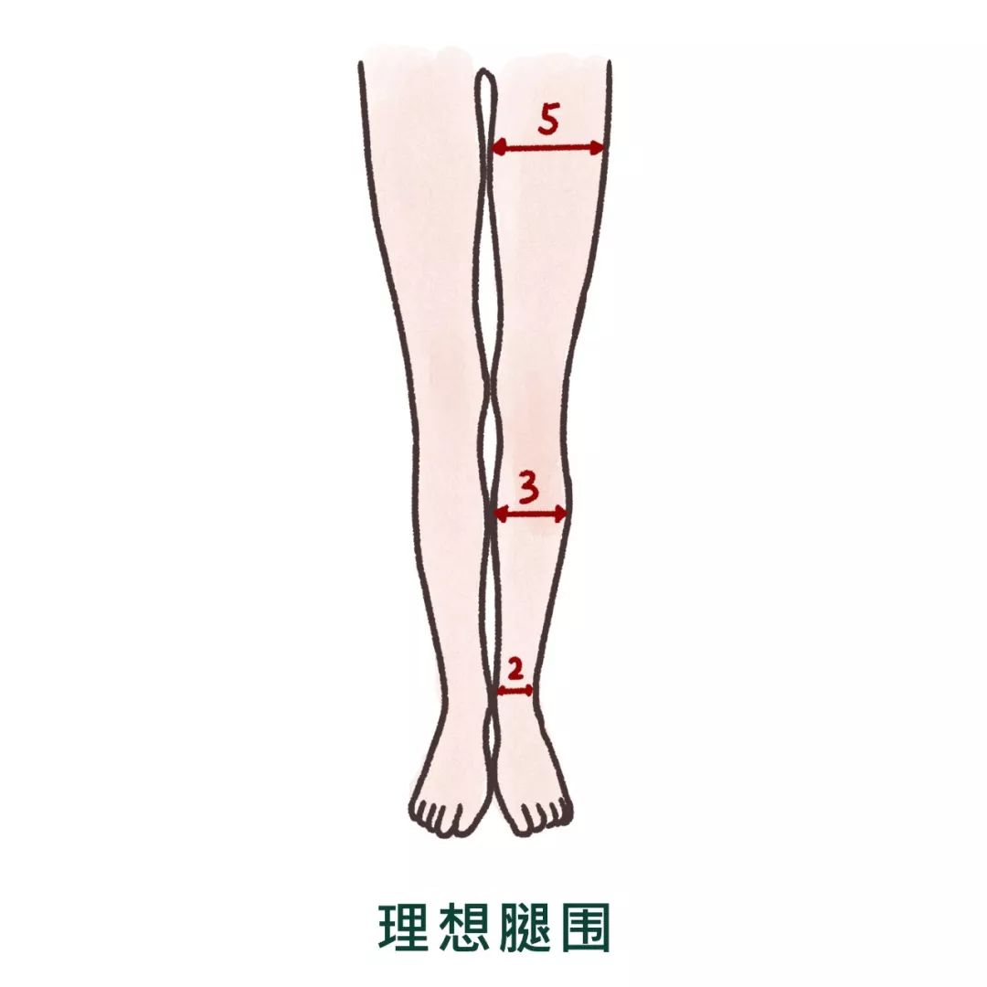 小腿量哪个位置示意图图片
