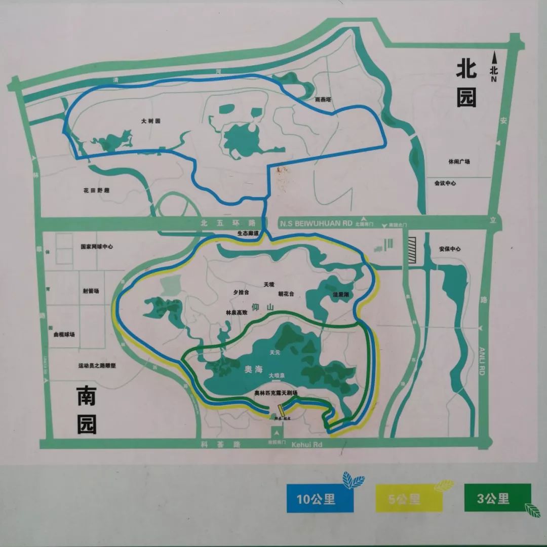 回到最初的样子,用赤足跑丈量大地 | 2018北京奥森第三届赤足马拉松等