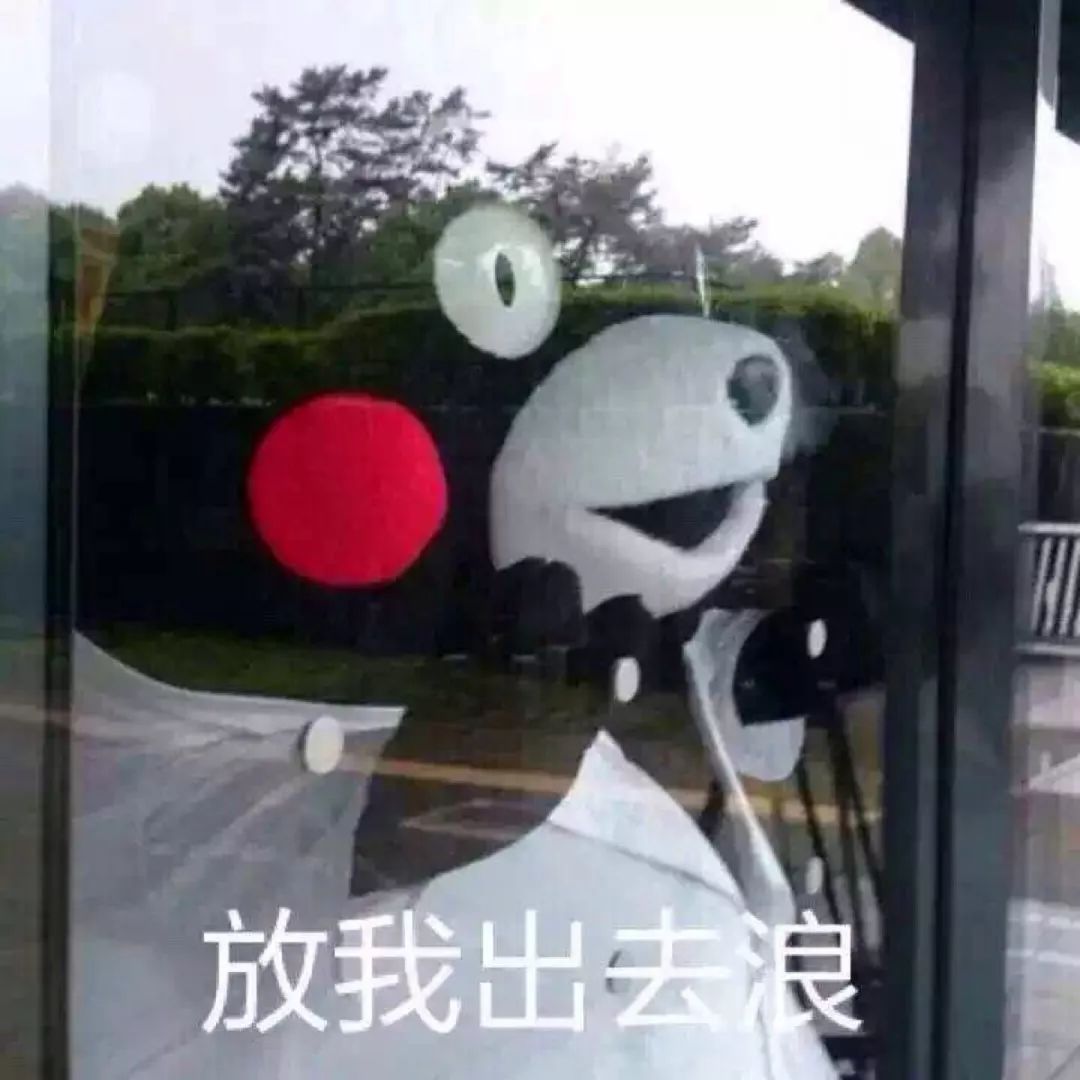 差不多都逛完了每个周末和假期都在纠结既想出去玩,又懒得出远门的潮