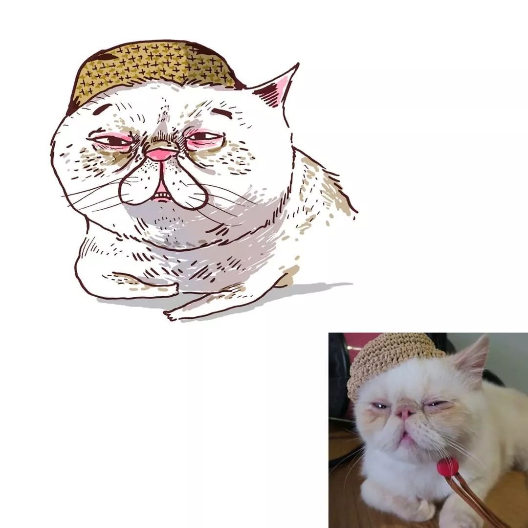 品牌丨画风极酸爽的灵魂画手,把你家猫画成超搞笑表情包!