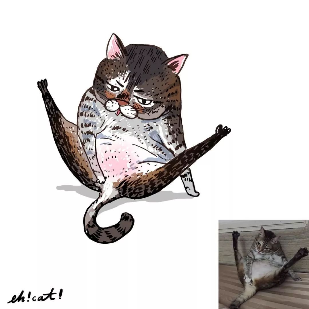 品牌丨画风极酸爽的灵魂画手,把你家猫画成超搞笑表情包!