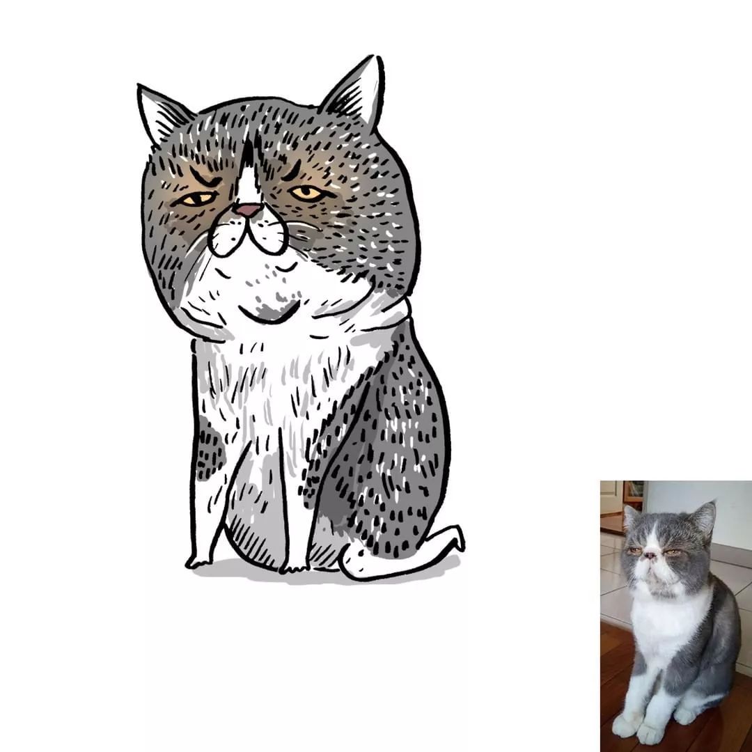 品牌丨画风极酸爽的灵魂画手,把你家猫画成超搞笑表情包!