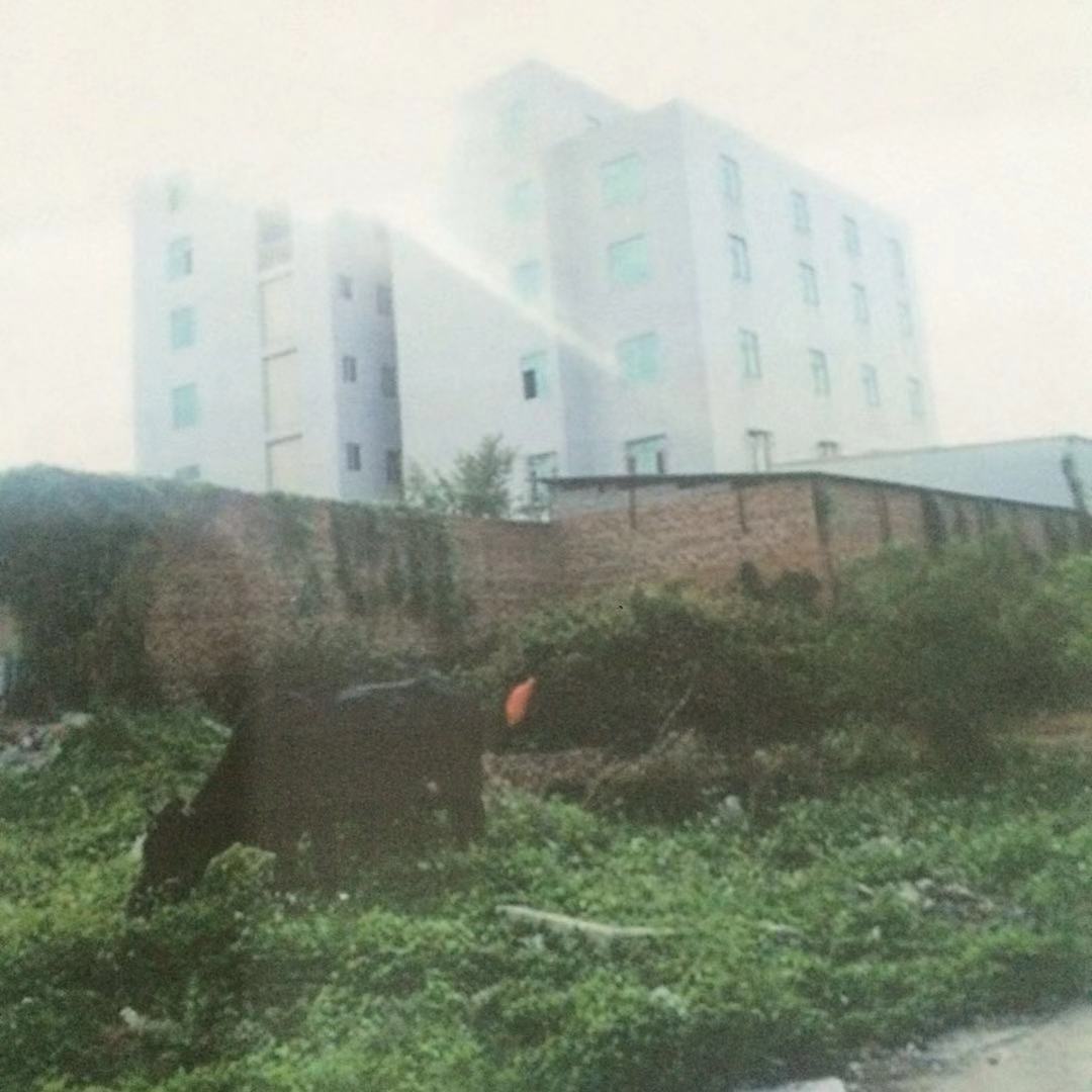 作凶占地建成的大楼。 受访者供图