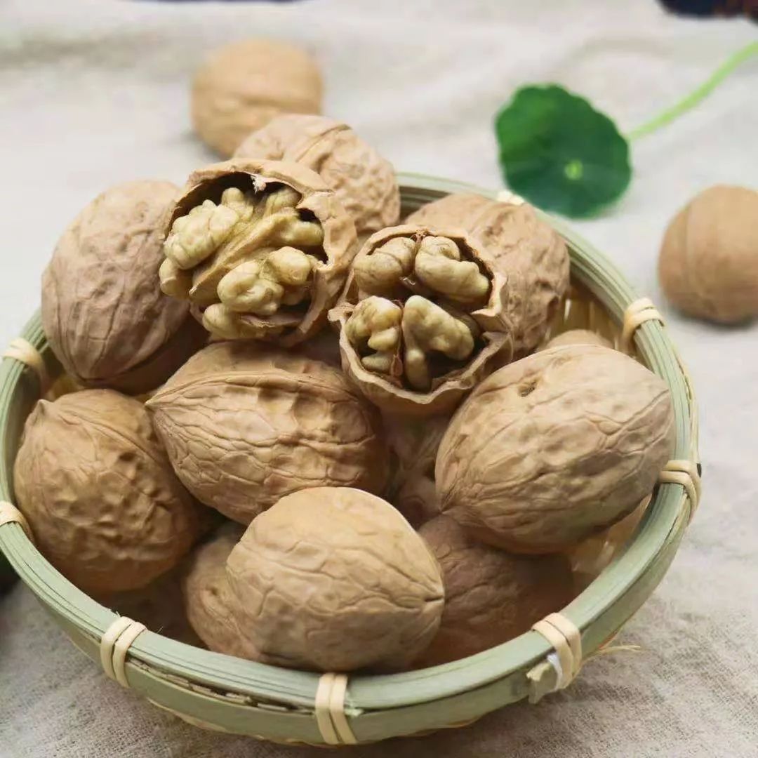 山西这个地方长出的鲜核桃,鸡蛋大小含油量高,用脑的人要常吃