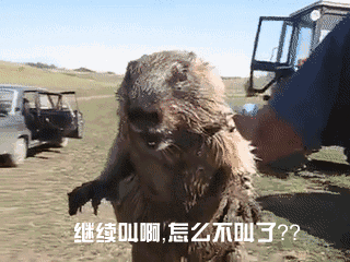 小飞飞课堂静态图长按保存