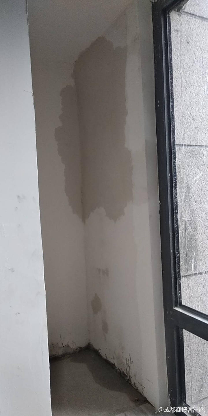 新楼盘墙面渗水长霉业主质疑外墙存在质量问题