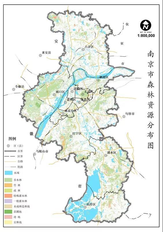 南京十年来增加了10个紫金山的树 三成土地被树林覆盖