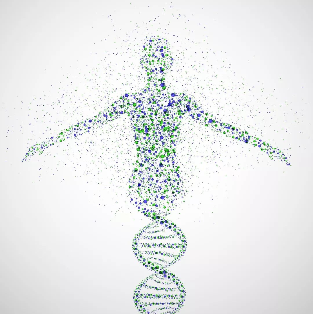 复杂性科学,将彻底颠覆我们对世界的认知