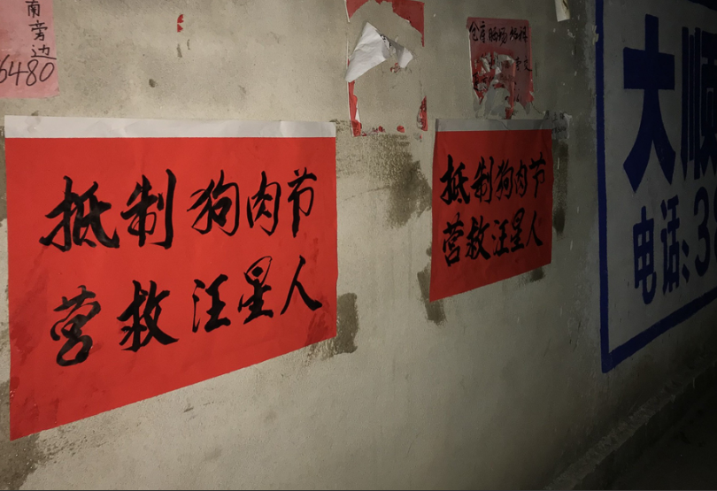 玉林狗肉节又双叒开幕,大街小巷贴满抵制标语
