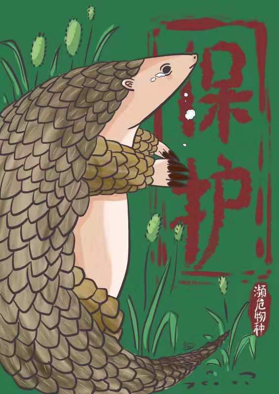 中国日报网评保护野生动物亦是保护人类自己