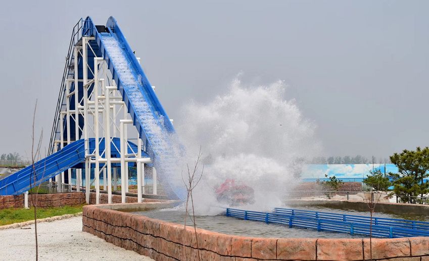 即墨|玫瑰|花都_新浪新闻