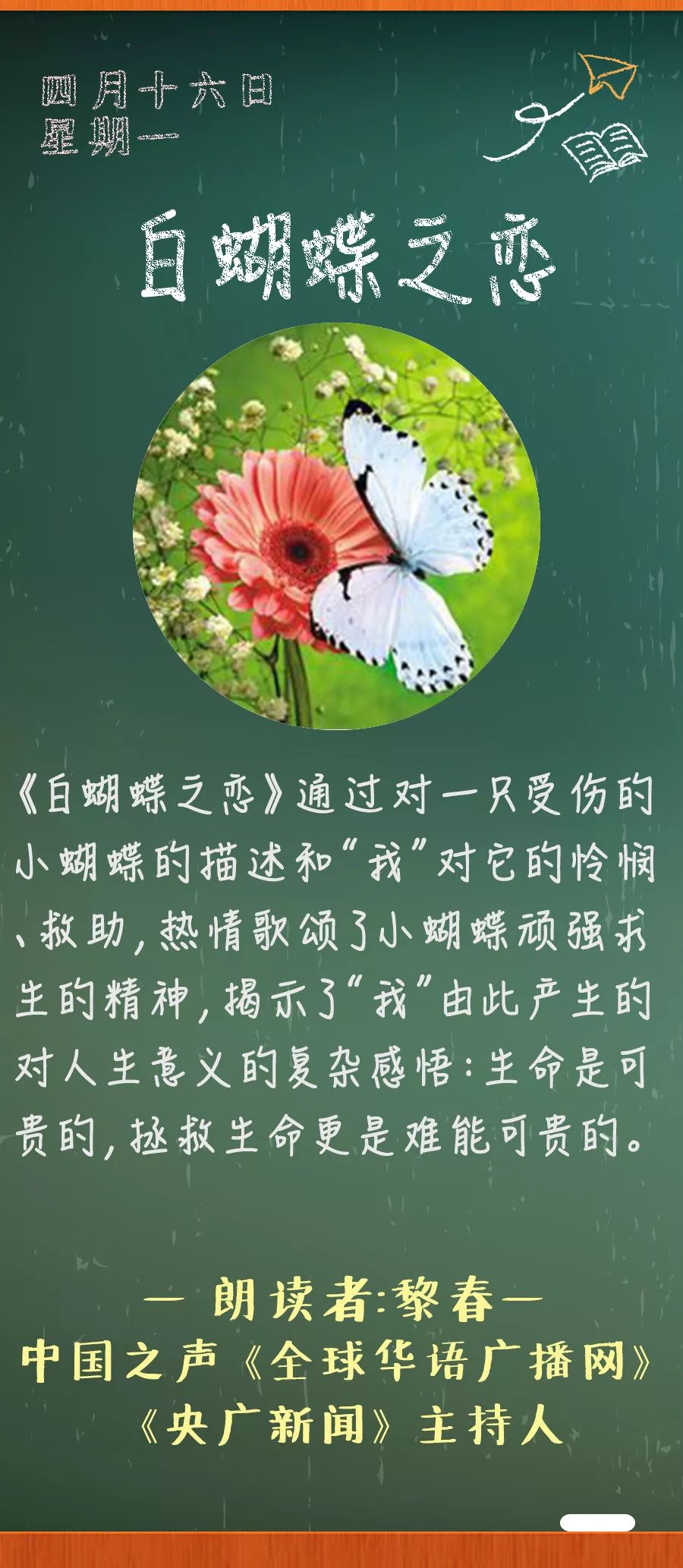 白蝴蝶之恋丨那些年我们一起读过的课文