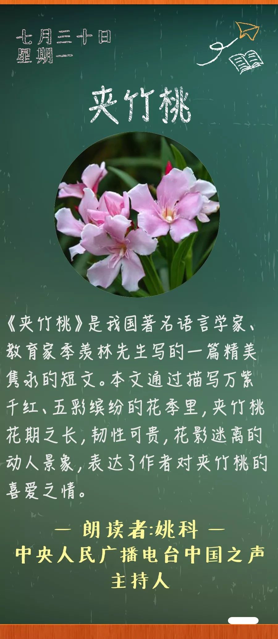 夹竹桃丨那些年我们一起读过的课文