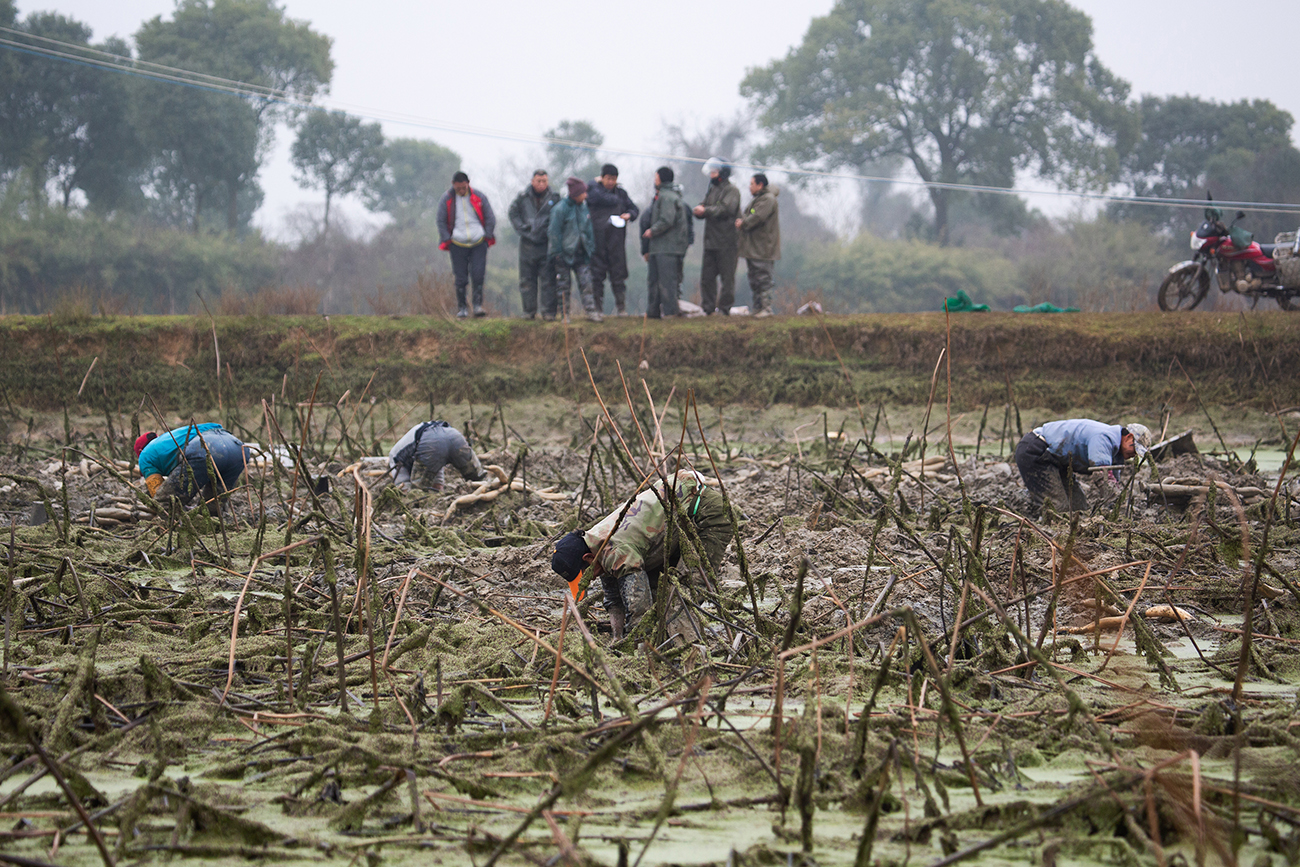 泥潭中的手艺人湃客年度视觉大赛