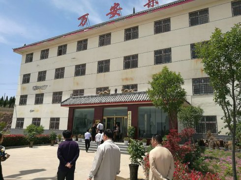 伊川县李雪飞绿化荒山,打造成万安山旅游胜地