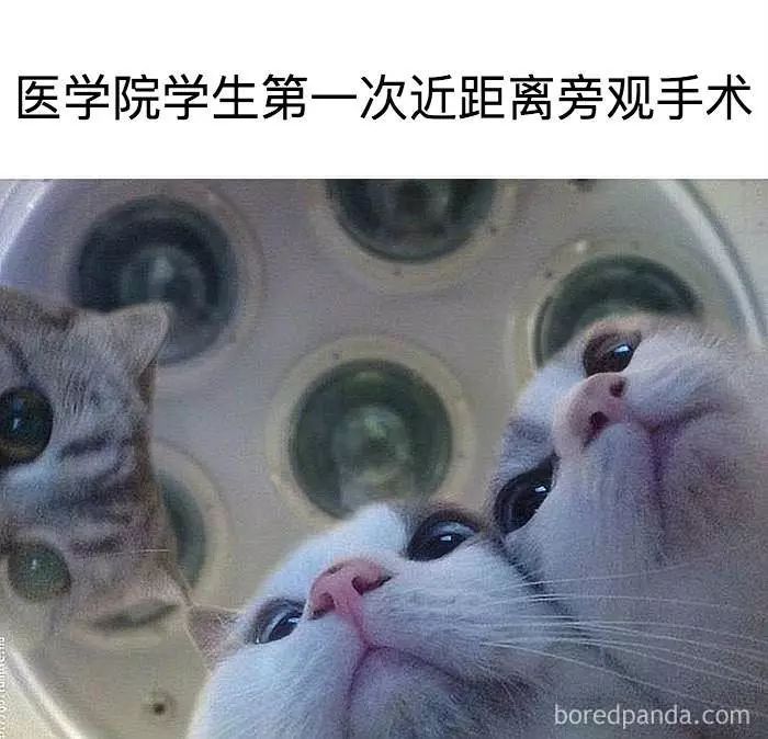 给你看病动手术的医生背地里表情包做得比你还溜