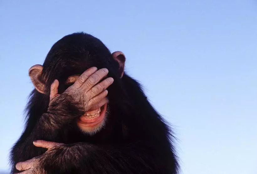 不可思议研究年鉴|搞笑诺贝尔奖|过山车_新浪新闻