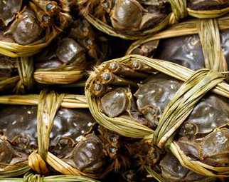 棱子蟹的做法大全