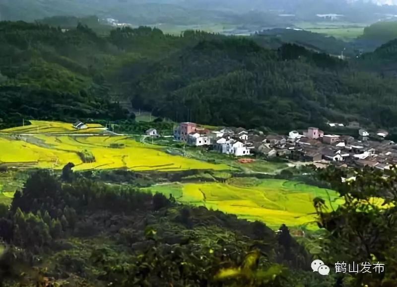 你好我叫鹤山我有一百种美可吸引你你最喜欢哪一种