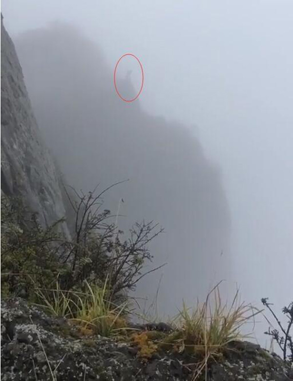 一男子在峨眉山金顶跳下舍身崖景区已启动搜救