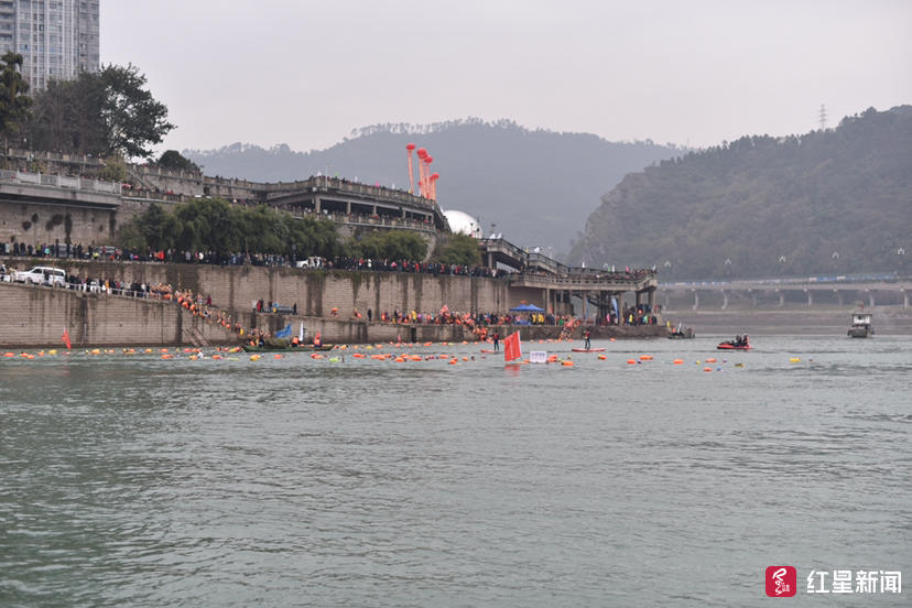 1600名游泳爱好者宜宾横渡长江迎新年