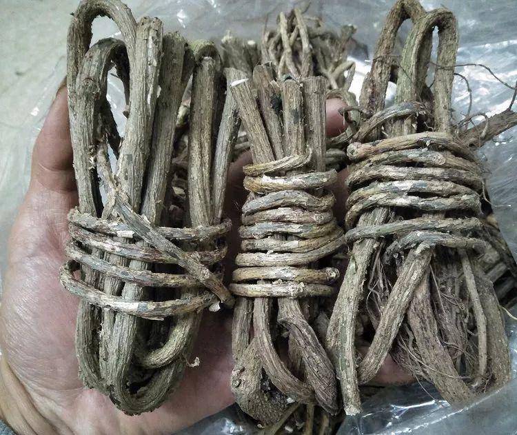 你知道梅州人常吃的臭屁藤到底是什么吗