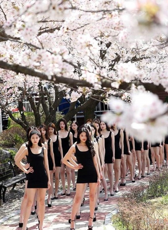 韩国大学模特樱花树下台步训练 白皙长腿姣好身材赏心悦目