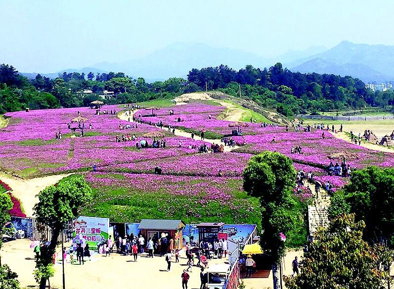 罗田三里畈镇振兴攻略:"旅游 "领航,找到三产融合金钥匙