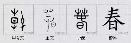 汉字文化学习感言