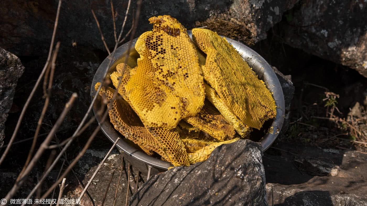 探秘拉祜族人野生蜂蜜取制过程每年仅取一次用纱布过滤