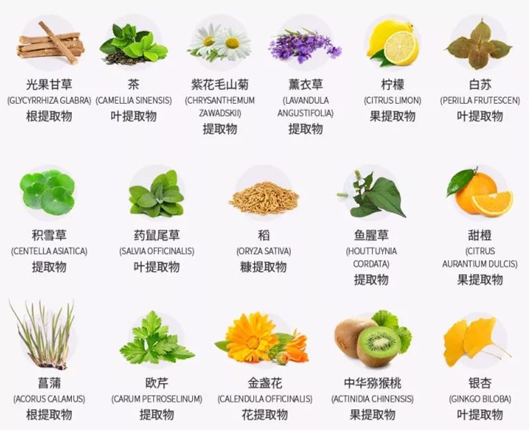 其中添加了16种天然安全的纯植物提取成分,真正安全不刺激!