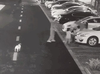 男子遛狗不拴绳,还把保护孩子的妈妈按在地上打!-图片7