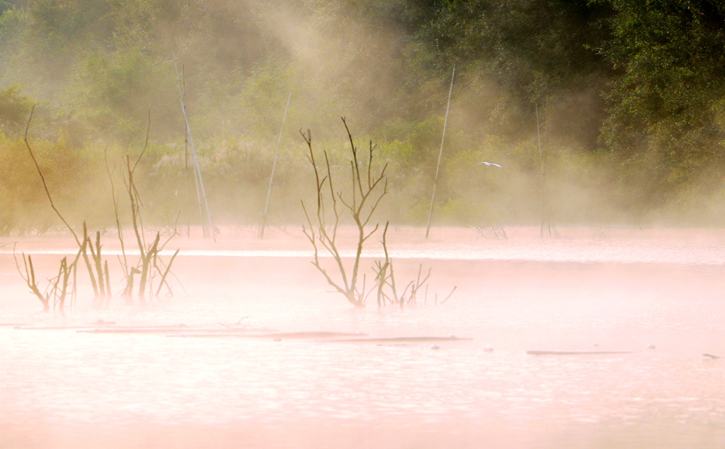 今日寒露天寒露重雾笼纱水汽氤氲水墨画