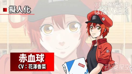 工作細胞 現實版 你老婆血小板是圓的 還長觸手