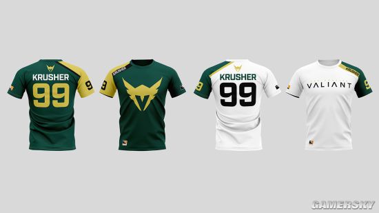 守望先锋联赛战队初探洛杉矶英勇队